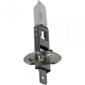 UNITEC H1 Ampoule halogène 12V pour projecteur