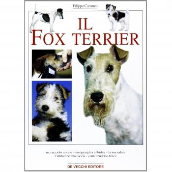 Il Fox Terrier
