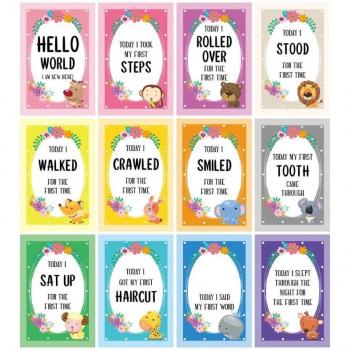 Baby Milestone Photo Cards 0-12 Months