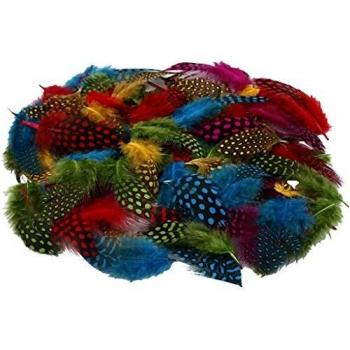 Guinea Fowl Feathers, Assorted Shades, 50 G, 1 Pack