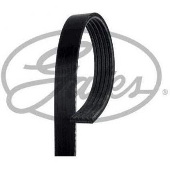 GATES Correa poli V 5PK1123XS