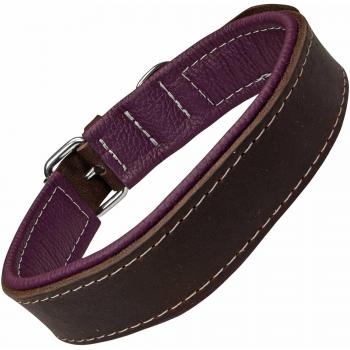 Handgefertigtes Moorfeuer Hundehalsband – Farbige Unterlegung