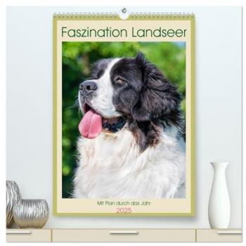 Faszination Landseer
