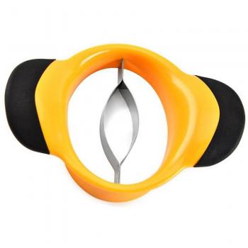 Mango Pitter
