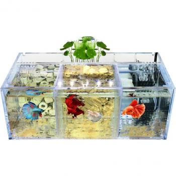 Small Desktop Betta Aquarium