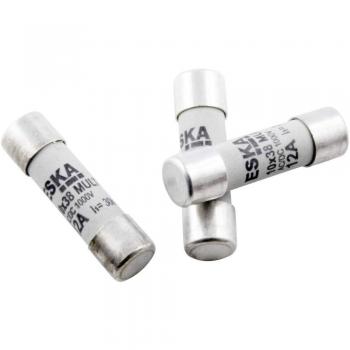 ESKA 1038320 Micro Fuse 2 A 500 V Time Delay