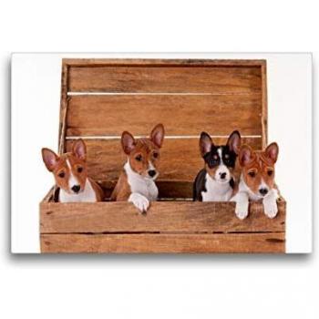 Calvendo Premium Leinwanddruck 45 x30 cm – Allerliebster Basenji Welpe 2017