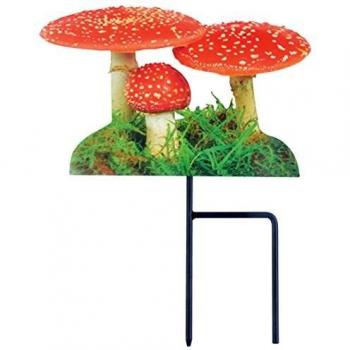 Amanite tue-mouches à planter en jardin