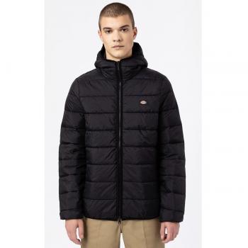 Dickies Daunenjacke Waldenburg Mid DK0A4Y3XBLK Schwarz Regular Fit Herren
