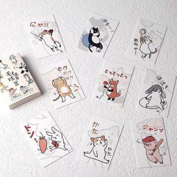 28 Sheets Cute Sports Animals Message Card Set