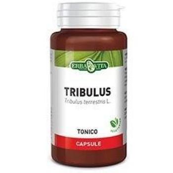 Tribulus 60x500 mg – integratore per la vitalità