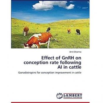 Effect of GnRH on conception rate following AI in cattle