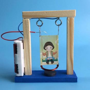 DIY Wooden Science Project Kit