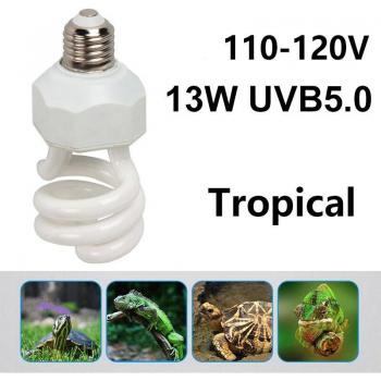 EcoReptil Luminaria