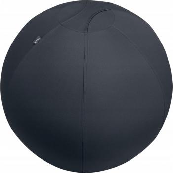 Leitz Ergo Active Sitzball, Durchmesser 750 mm, samtgrau