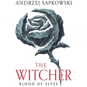 Blood of Elves : The bestselling novel which inspired season 2 of Netflix s The Witcher EPUB