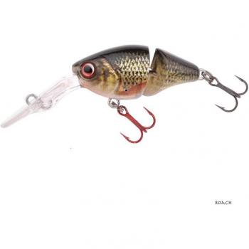 Poisson Nageur Roach 35 F – Spro Ikiru Double Crank