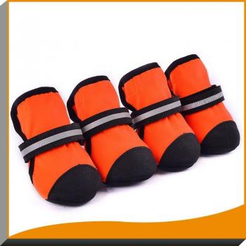 Trotter Soluciones: Zapatos 4 Unid/Set