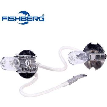 H3 12V 55W Xenon Car Light Bulb