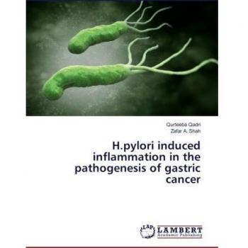 H.pylori induced inflammation in the pathogenesis of gastric cancer