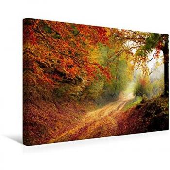 Premium Textil-Waldleinwand „Der Wald“ – 45 × 30 cm (CALVENDO)