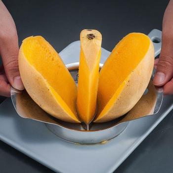 Mango Cutting and Pitting Gadget