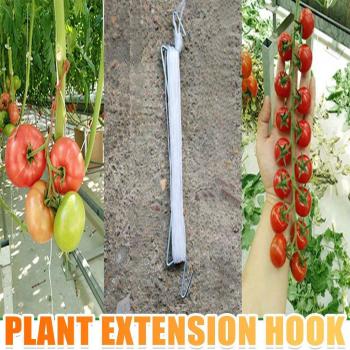 Crochet porte-plant tomato fixateur #3