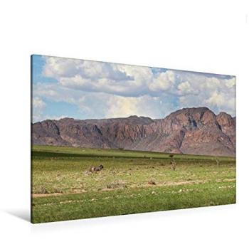 Mirko Weigt Druck: CALVENDO Textilcanvas 120 × 80 cm – Namibische Berge & Zebras