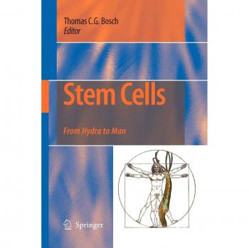 Stem Cells