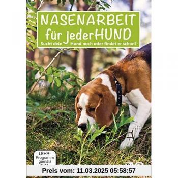 NASENARBEIT für jederHUND: Sucht dein Hund noch oder findet er schon?