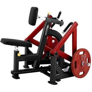 Máquina de Remo Steelflex con Carga de Placa