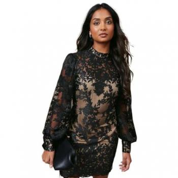Oasis Embroidered Mesh Sweetheart Neck Mini Dress True Black 10