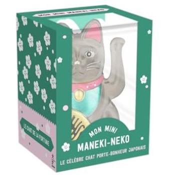 COFFRET Mini Lucky Cat argenté