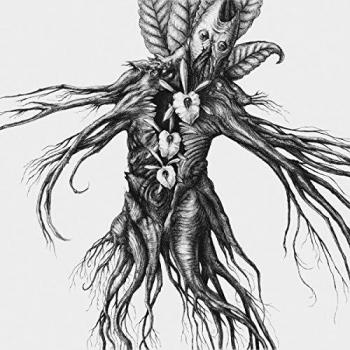 IV Mandragore
