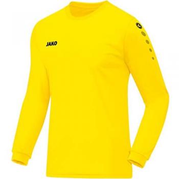 Jako Langarmtrikot Team