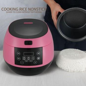 Olla de Arroz 3L con Revestimiento Antiadherente