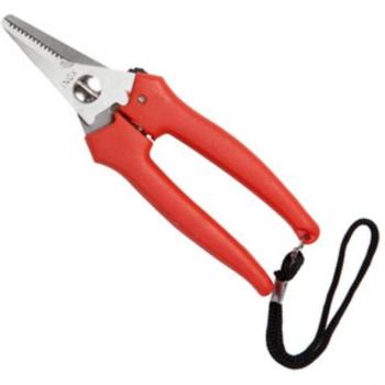 6 ciseaux en acier inoxydable pour raisin 16 cm