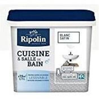 Peinture Ripolin 0,75L