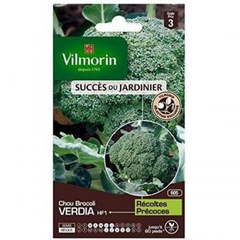 Chou Brocoli Verdia HF1 Vilmorin