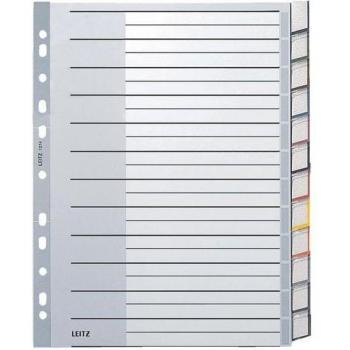 Register Leitz A4 surdimensionné 12 feuilles PP gris vierge