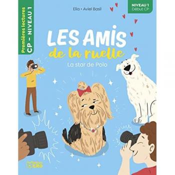 Amis ruelle