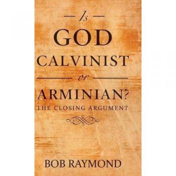 Is God Calvinist or Arminian?
