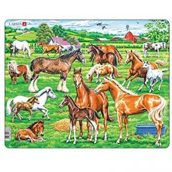 Equine Eleganza 33 Unità