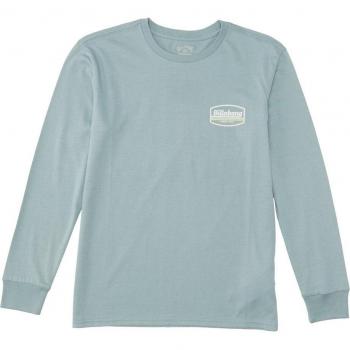 Camiseta Billabong Walled para Chicos