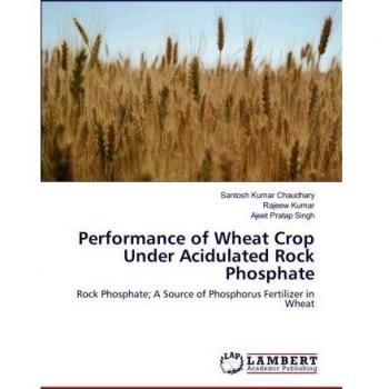 Performance of Wheat Crop Under Acidulated Rock Phosphate