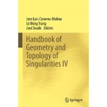 Handbook of Geometry and Topology of Singularities IV (Handbook of Geometry and Topology of Singularities, 4)