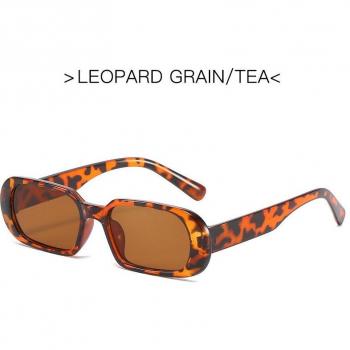 Ladies and Men's Vintage Small Sunglasses