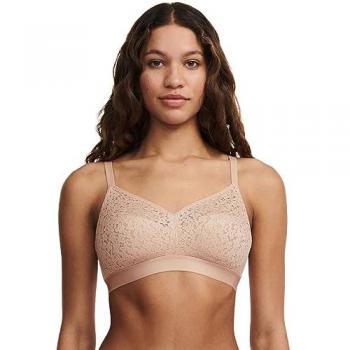 Lace & Net Delight