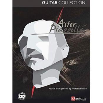 Guitar collection