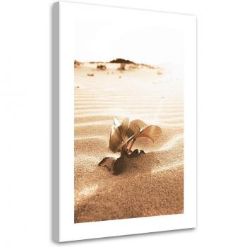 Arid Garden 40x60